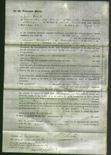 Court of Common Pleas - Ellen Fryer-Original Ancestry