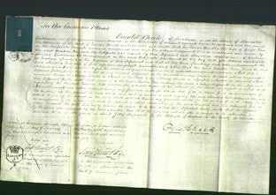 Court of Common Pleas - Martha New-Original Ancestry