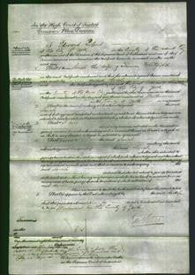 Court of Common Pleas - Sarah Whitfield-Original Ancestry