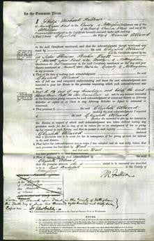 Court of Common Pleas - Elizabeth Allwood-Original Ancestry