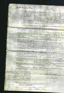 Court of Common Pleas - Matilda Cross-Original Ancestry