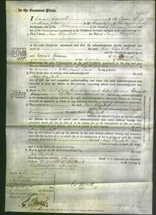 Court of Common Pleas - Ann Elizabeth Wright-Original Ancestry
