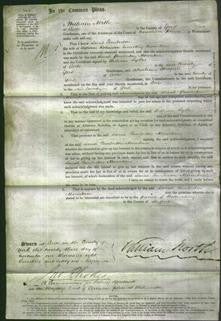 Court of Common Pleas - Sarah Pemberton Mountain-Original Ancestry