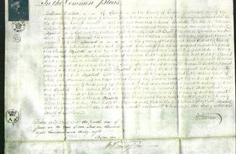 Court of Common Pleas - Elizabeth Cash-Original Ancestry