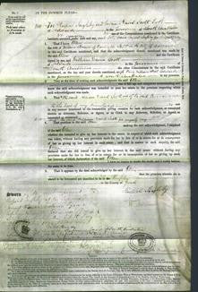 Court of Common Pleas - Ellen Brown-Original Ancestry