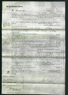 Court of Common Pleas - Mary Radford-Original Ancestry