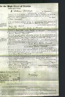 Court of Common Pleas - Anna Maria Counsell-Original Ancestry