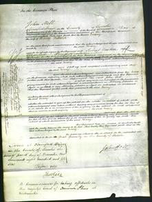 Court of Common Pleas - Mary Palmer-Original Ancestry