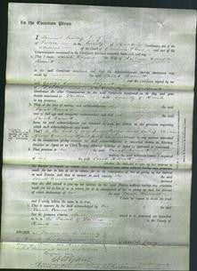 Court of Common Pleas - Sarah Burnett-Original Ancestry