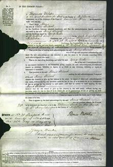 Court of Common Pleas - Maria Shilcock-Original Ancestry