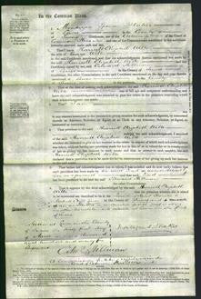 Court of Common Pleas - Harriett Elizabeth Wille-Original Ancestry