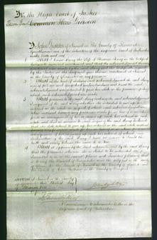 Court of Common Pleas - Mary Sterry-Original Ancestry