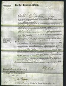 Court of Common Pleas - Eliza Mitchell-Original Ancestry