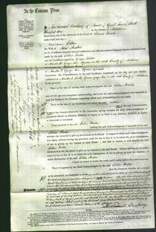 Court of Common Pleas - Ellen Stenton-Original Ancestry