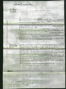 Court of Common Pleas - Elizabeth Hannah Tappenden-Original Ancestry