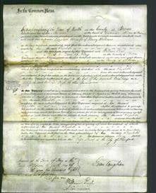 Court of Common Pleas - Elizabeth Williams-Original Ancestry