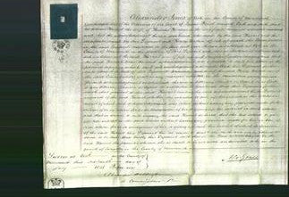 Court of Common Pleas - Harriet Thomas-Original Ancestry
