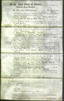 Court of Common Pleas - Elizabeth Hodgetts and Mary Ann Skidmore-Original Ancestry