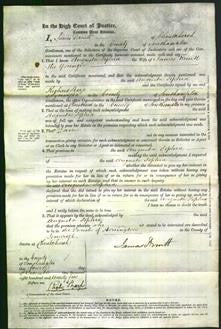 Court of Common Pleas - Augusta Sophia Druitt-Original Ancestry