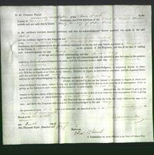 Court of Common Pleas - Mary Lewis-Original Ancestry