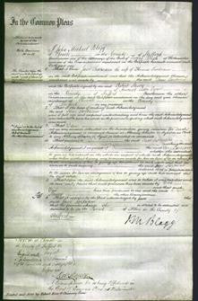Court of Common Pleas - Jane Swetnam-Original Ancestry