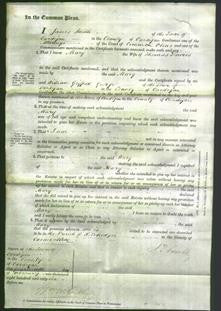 Court of Common Pleas - Mary Davies-Original Ancestry