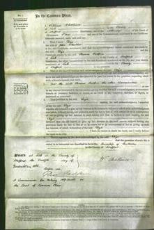 Court of Common Pleas - Eliza Wheeldon-Original Ancestry