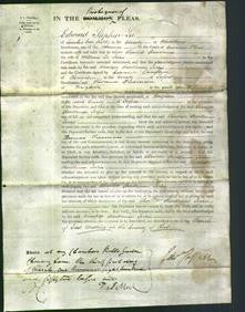 Court of Common Pleas - Charlotte Hardtman Jortin-Original Ancestry