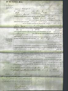 Court of Common Pleas - Sarah Stewart-Original Ancestry