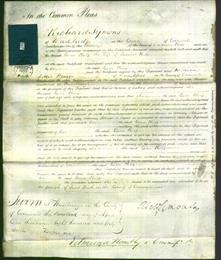 Court of Common Pleas - Eliza Philp-Original Ancestry