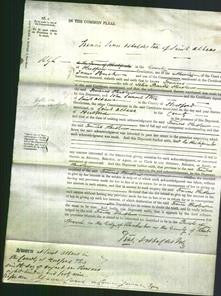 Court of Common Pleas - Frances Henslow-Original Ancestry