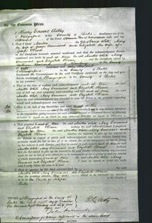 Court of Common Pleas - Martha White, Mary Cummins and Elizabeth Hoare-Original Ancestry