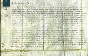 Court of Common Pleas - Mary Anne Heathcote-Original Ancestry