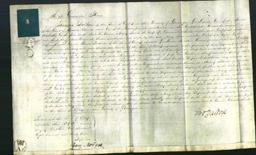 Court of Common Pleas - Mary Lewis-Original Ancestry