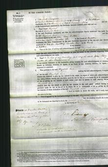 Court of Common Pleas - Elizabeth Ewer-Original Ancestry