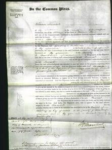 Court of Common Pleas - Harriet Harlock-Original Ancestry