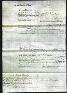 Court of Common Pleas - Rebecca Pearson-Original Ancestry