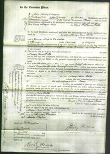 Court of Common Pleas - Mary Ann Wells-Original Ancestry