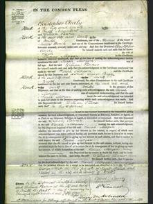 Court of Common Pleas - Sarah Morgan-Original Ancestry