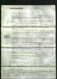 Court of Common Pleas - Frances Shaw-Original Ancestry