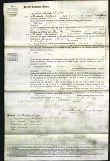 Court of Common Pleas - Sophia Snelling Hayner-Original Ancestry