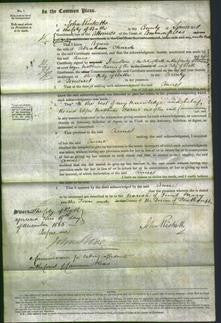 Court of Common Pleas - Anne Church-Original Ancestry