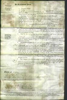 Court of Common Pleas - Sarah Stead and Hannah Wilkinson-Original Ancestry