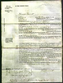 Court of Common Pleas - Catharine Bainbridge-Original Ancestry