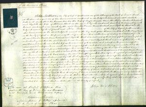 Court of Common Pleas - Amelia Vernon, Anne Cowland and Elizabeth Ward-Original Ancestry