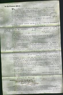 Court of Common Pleas - Susan Louisa Stanford-Original Ancestry