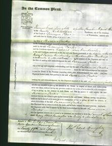 Court of Common Pleas - Susanna Carter-Original Ancestry