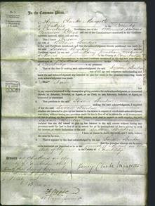 Court of Common Pleas - Susan Burton-Original Ancestry