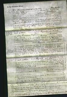 Court of Common Pleas - Elizabeth Larkin and Charlotte Davies-Original Ancestry