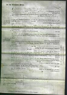 Court of Common Pleas - Elizabeth Ann Jenkins-Original Ancestry